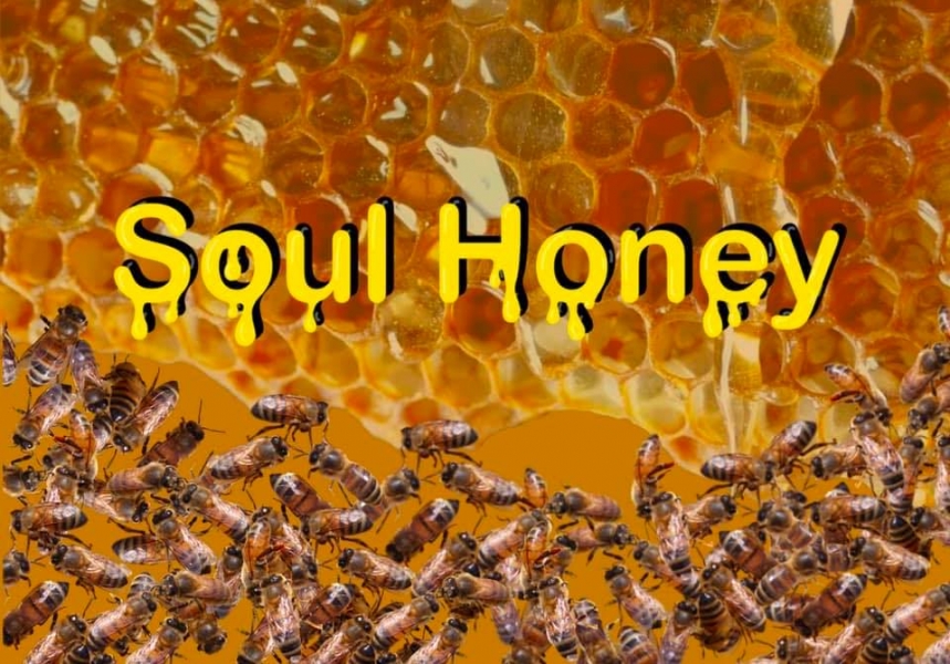 Soul_Honey